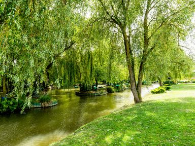 A river bordered by grass and trees including willow trees at Grafton Mill in Grafton Flyford near Pershore