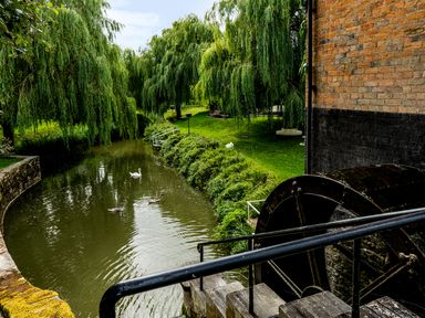 A water wheel next to a river with swans and willow trees at Grafton Mill in Grafton Flyford near Pershore