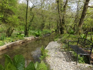 A small stream with trees and plants along its banks and a metal bench on a gravel path at Kingfisher in Blaenwaun