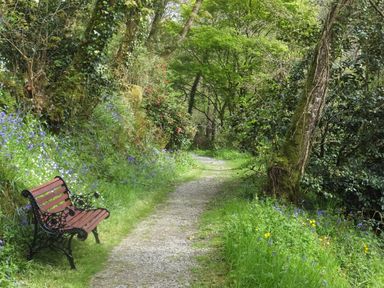 A gravel path with a wooden bench surrounded by trees and wildflowers at Kingfisher in Blaenwaun