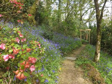 A garden path surrounded by flowering plants and trees with a wooden archway at Kingfisher in Blaenwaun