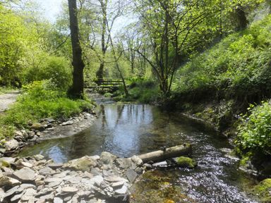 A small stream flowing through a forested area with a rocky path and a wooden footbridge at Kingfisher in Blaenwaun