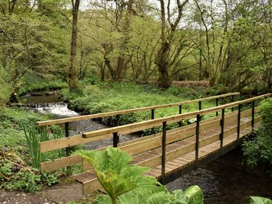 A wooden footbridge over a small stream surrounded by trees and greenery at Kingfisher in Blaenwaun