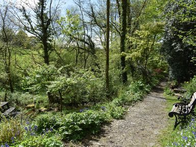 A garden path with trees flowers and benches at Kingfisher in Blaenwaun