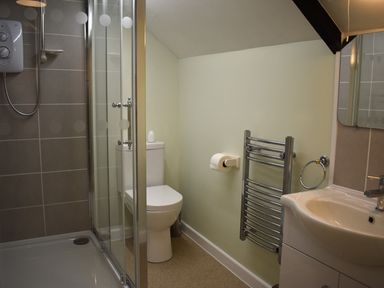 A bathroom with a shower enclosure toilet sink and heated towel rail at Kingfisher in Blaenwaun