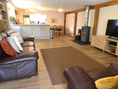 A living room with sofas, a television, and a fireplace at Kingfisher in Blaenwaun