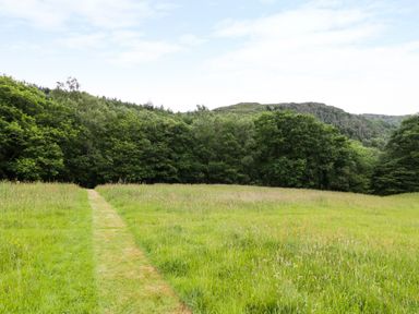 A grassy field with a narrow path leading to trees and hills in the background at Hen Gelligemlyn - The Annexe in Ganllwyd