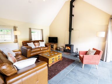 A living room with brown leather sofas a red armchair a wooden coffee table a wood-burning stove and a television at Hen Gelligemlyn - The Annexe in Ganllwyd