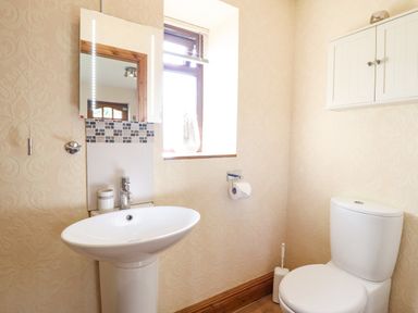 A bathroom with a pedestal sink toilet wall cabinet and window at Bwthyn Ty Newydd in Llangadfan