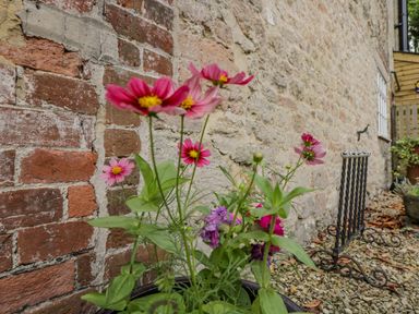 Pink flowers in a pot beside a brick and stone wall on a gravel ground at Old Cart Shed in Lyneham near Royal Wootton Bassett