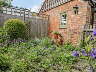 A garden with purple flowers a round bush and terracotta pots against a brick wall at Old Cart Shed in Lyneham near Royal Wootton Bassett