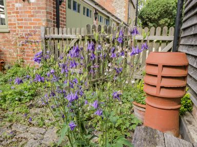 A garden with purple flowers next to a wooden fence and a terracotta vent pipe at Old Cart Shed in Lyneham near Royal Wootton Bassett