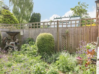 A garden with various plants flowers and a trimmed bush next to a wooden fence at The Old Cart Shed in Lyneham near Royal Wootton Bassett