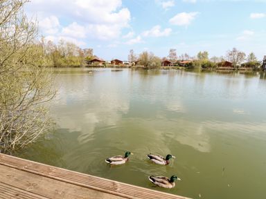 A lake with ducks swimming near a wooden deck and cottages in the background at Bittern Lodge in Tattershall Lakes Country Park