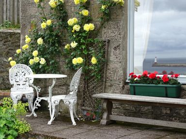 A stone patio with white metal table and chairs yellow roses climbing on the wall red flowers in a window box and a bench at The Lookout in Berwick-upon-Tweed
