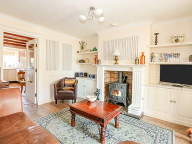 A living room with a fireplace a coffee table an armchair a TV and shelves at Camerons Cottage in Swaffham