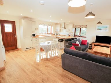 An open plan kitchen and living area with wooden flooring a dining table with chairs two sofas and a television at Bodneithior in Llanerchymedd