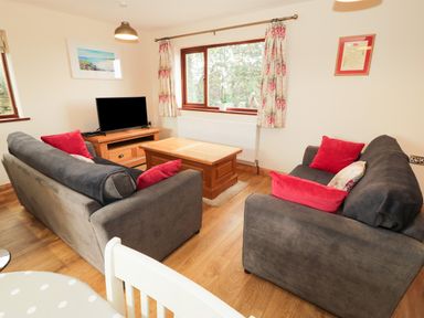 A living room with two gray sofas with red cushions a wooden coffee table a television on a wooden stand and a window with floral curtains at Bodneithiior in Llanerchymedd