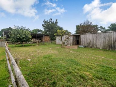 A fenced grassy yard with trees wooden sheds and a pile of logs at Warbrook in Bradworthy
