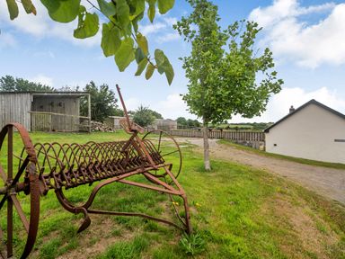 A rusted farming implement on grass with a tree and a white building in the background at Warbrook Bradworthy