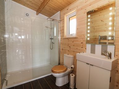 A bathroom with a shower, toilet with wooden seat, sink with cabinet and a mirror at The Cabin in Pontardawe