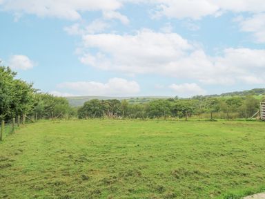 A garden with grass and trees at The Cabin in Pontardawe