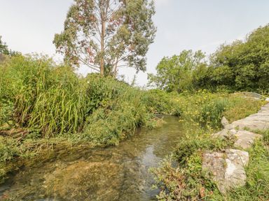A clear stream flowing alongside a stone pathway surrounded by dense green vegetation and trees at Shepherd Oak in Upwey near Weymouth