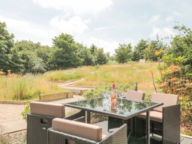An outdoor patio area with a glass table surrounded by four cushioned chairs and a bottle with three wine glasses on the table near a grassy area and trees at Bramshurst in Upwey near Weymouth