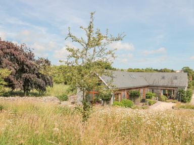 A house with a garden and trees in a grassy field at Bramshurst in Upwey near Weymouth