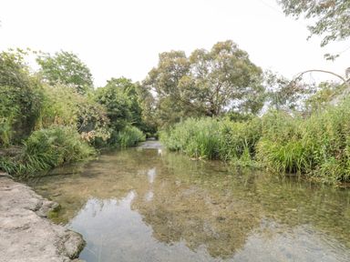 A shallow clear river with gravel bottom surrounded by dense greenery and trees at Bramshurst in Upwey near Weymouth
