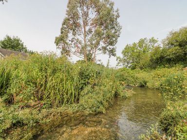 A clear shallow stream flowing through dense green vegetation with trees and a roof visible in the background at Bramshurst Upwey near Weymouth