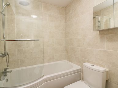 A bathroom with a bathtub shower combination and toilet with a wall-mounted mirror cabinet at Trederwen in Rhayader