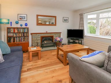 A living room with two sofas a wooden coffee table a side table a bookshelf and a fireplace with a mirror above it at Trederwen in Rhayader