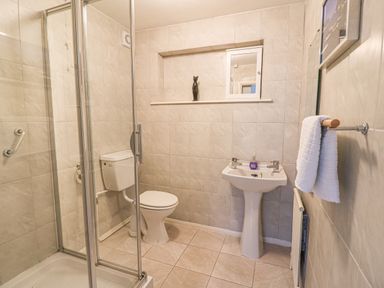 A bathroom with a shower enclosure toilet pedestal sink and towel on a rail at Trederwen in Rhayader