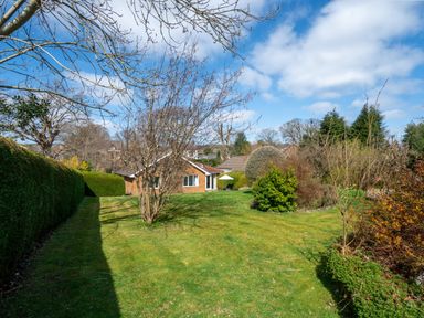 A garden with grass a variety of trees and shrubs and a house in the background at Trederwen in Rhayader