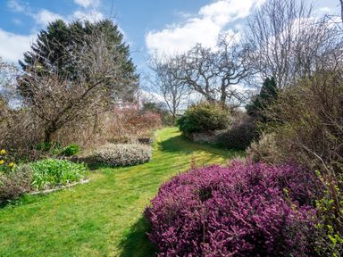 A garden path with grass and flowering shrubs surrounded by trees at Trederwen in Rhayader