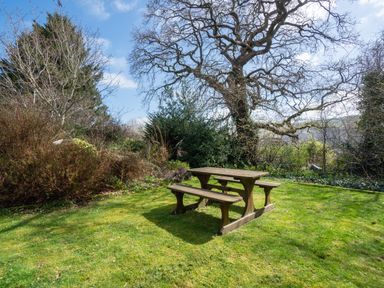 A wooden picnic table with benches on grass surrounded by trees and bushes at Trederwen in Rhayader
