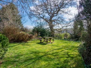 A garden with a wooden picnic table on grass surrounded by trees and shrubs at Trederwen in Rhayader