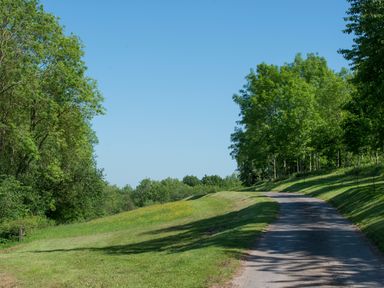 A paved path bordered by grass and trees under a clear blue sky at Mill Cottage in Hanley William near Tenbury Wells