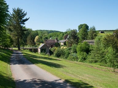 A country road leading to stone cottages surrounded by trees and greenery at Mill Cottage in Hanley William near Tenbury Wells