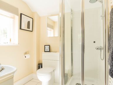 A bathroom with a shower enclosure a toilet a sink and a wall mirror at Stable Cottage in Hanley William near Tenbury Wells