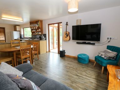 A living room with a dining table and television at Dragonfly Lodge Whinburgh near Dereham