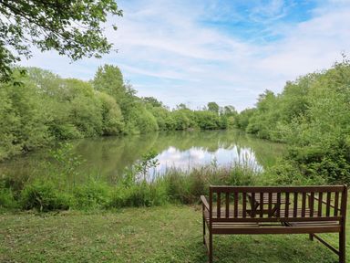 A bench overlooking a pond surrounded by trees at Dragonfly Lodge in Whinburgh near Dereham