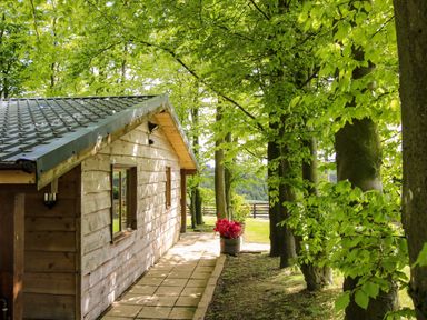 A cabin with trees and a pathway at Valley View Lodge in Welshpool