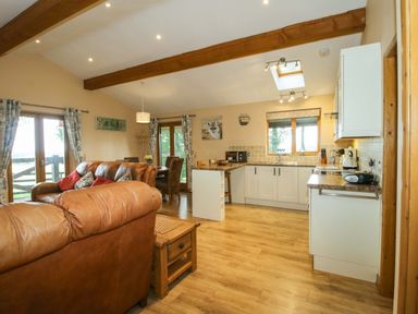 A kitchen with a sofa and coffee table at Valley View Lodge Welshpool