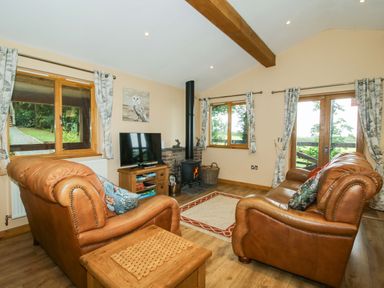 A living room with a sofa and television at Valley View Lodge in Welshpool