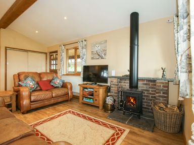 A living room with a wood stove and sofa at Valley View Lodge in Welshpool