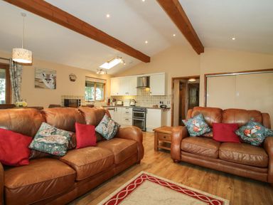A living room with leather sofas and a kitchen area at Valley View Lodge in Welshpool