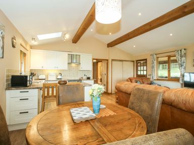 A dining area with a kitchen and sofa at Valley View Lodge in Welshpool