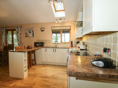 A kitchen with cabinets and appliances at Valley View Lodge in Welshpool